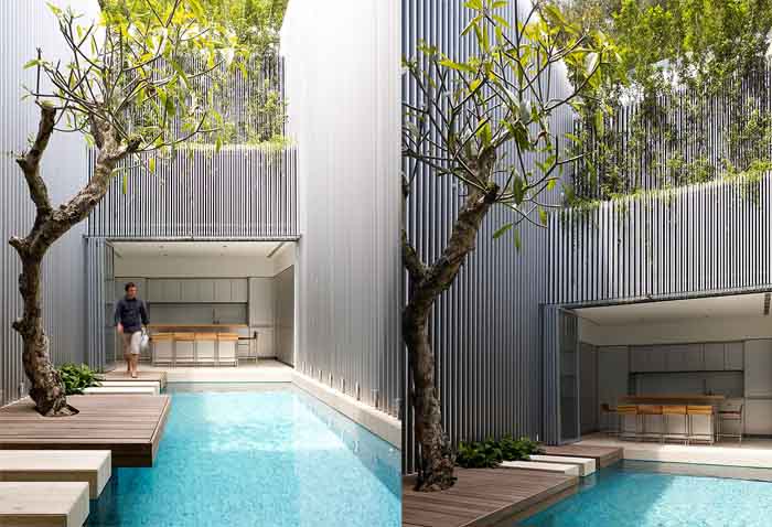 outdoor indoor pool with tree and frangipani gard private An Elegant Solution To A Long And Narrow Space