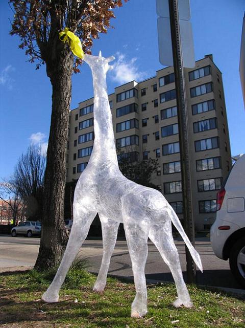clear giraffe sculpture packaging tape art This is Art...with Packaging Tape! Meet Mark Jenkins