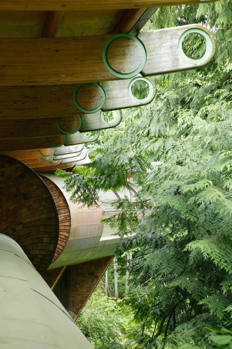 canopy living amongst the trees forest house Canopy Living: The Ultimate Tree House