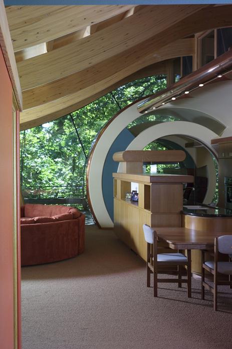 curved roof rooms design tree house Canopy Living: The Ultimate Tree House