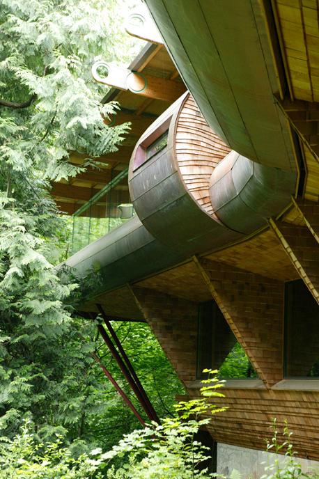 insane tree house design oshatz wilkinson Canopy Living: The Ultimate Tree House
