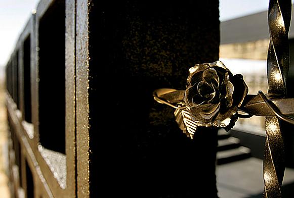 rosa muerta dead rose black rose What Happens When a Punk Rocker Designs a Desert Home?