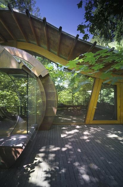 tree house deck patio design Canopy Living: The Ultimate Tree House