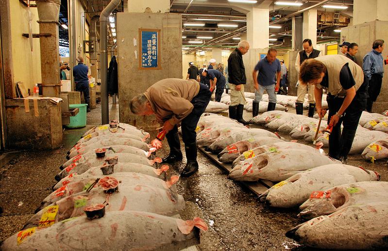 bluefin tuna auction largest in the world The Largest Fish and Seafood Market in the World