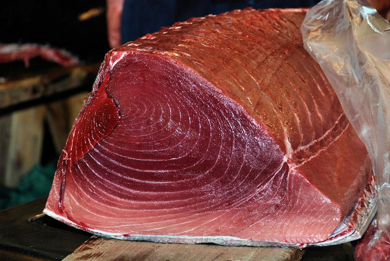 fresh tuna from tsukiji fish and seafood market The Largest Fish and Seafood Market in the World