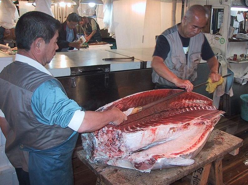 oroshi hocho wholesale knife for tuna filet The Largest Fish and Seafood Market in the World