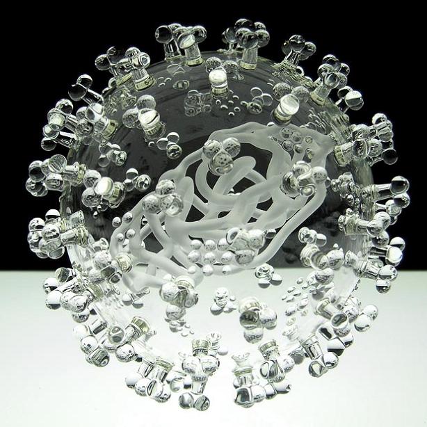 the-swine-flu-close-up-glass-sculpture