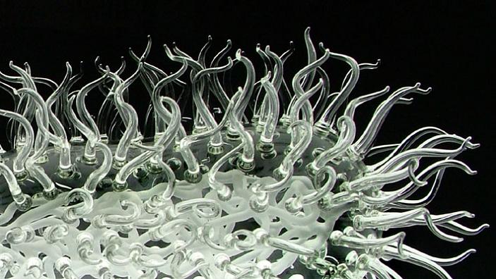 virus made of glass e coli luke jerram The Deadliest Art in the World