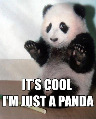 its cool im just a panda 11 Reasons why the Bronze goes to... Pandas!