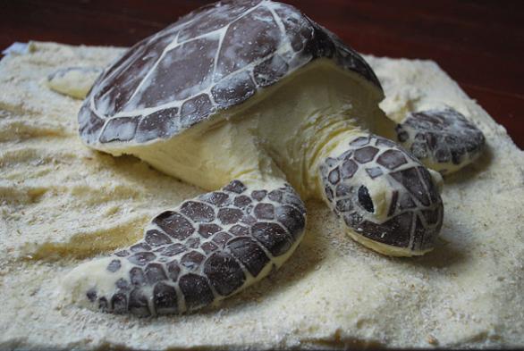 sea turtle cake Picture of the Day   February 8, 2010