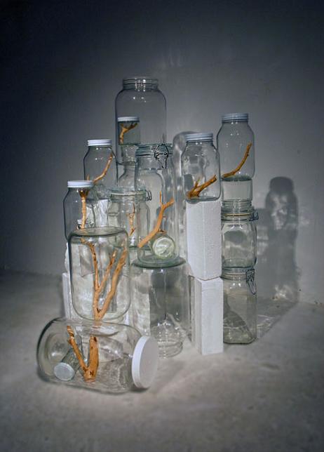 tree branch cut up into pieces in jar Branching Out: Tree Art by Naoko Ito
