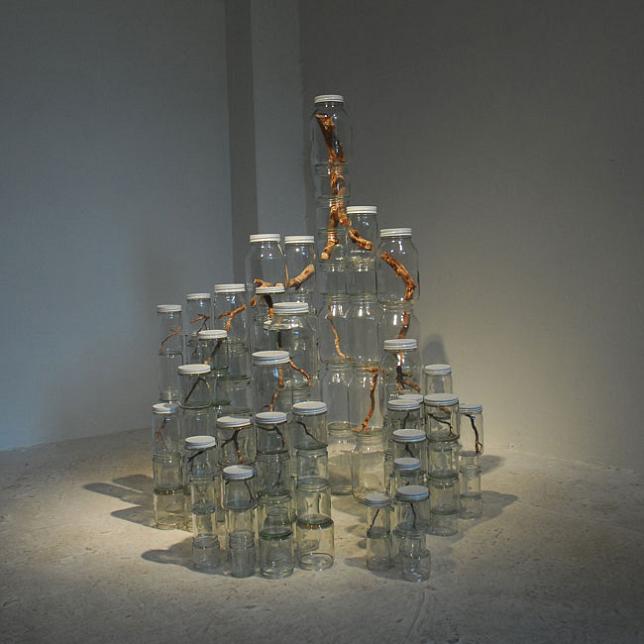 tree branches in jars art Branching Out: Tree Art by Naoko Ito