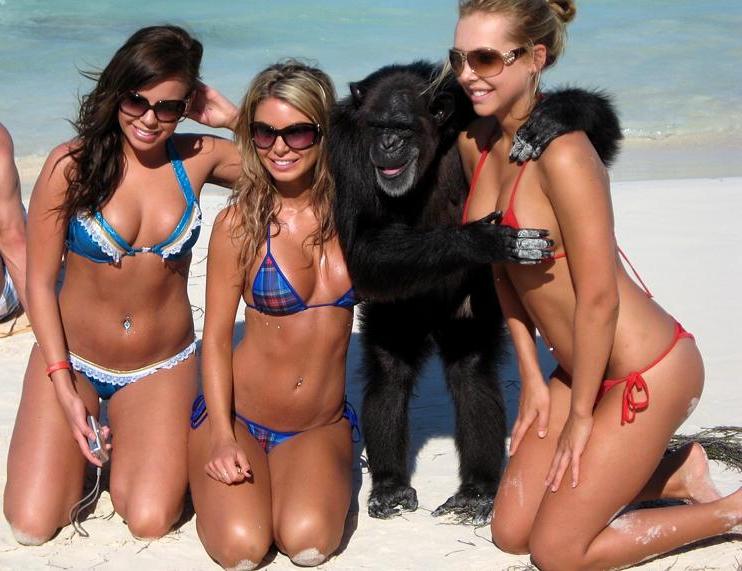 monkey with three hot girls in bikinis on beach copping feel The Friday Shirk Report   March 5, 2010 | Volume 47