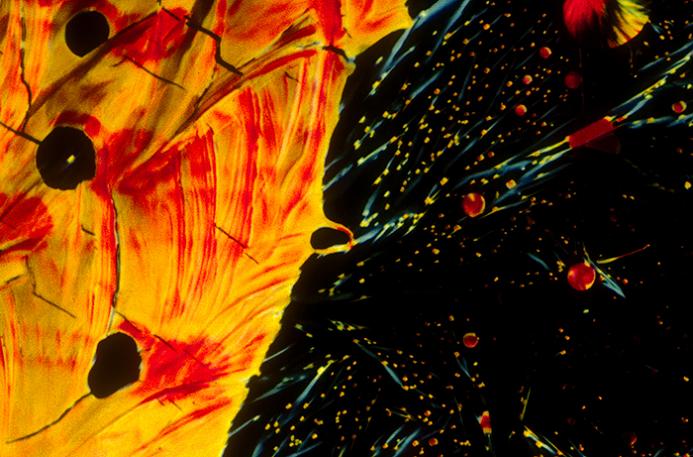 beer closeup japanese dry lager Alcoholic Art: Liquor Under a Microscope