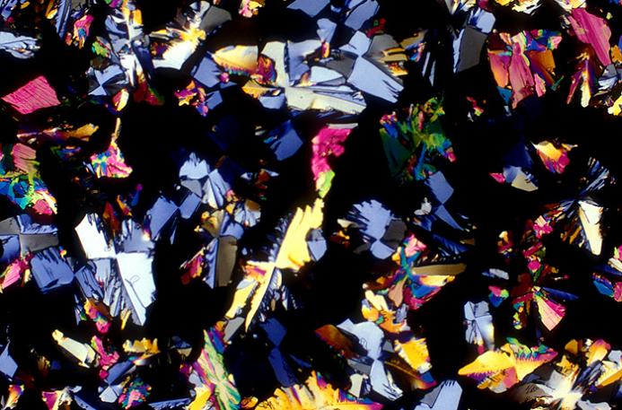 gin magnified image Alcoholic Art: Liquor Under a Microscope