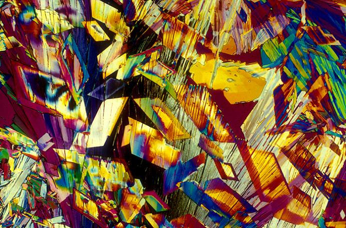microscopic image of beer japanese rice lager Alcoholic Art: Liquor Under a Microscope