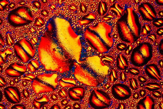 whiskey close up under a microscope Alcoholic Art: Liquor Under a Microscope