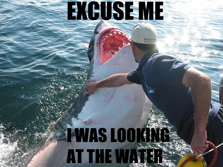 excuse me i was looking at the water hand on shark The Friday Shirk Report   July 23, 2010 | Volume 67