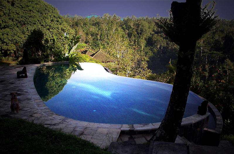 murnis villa ubud bali infinity pool 25 Stunning Infinity Pools Around the World