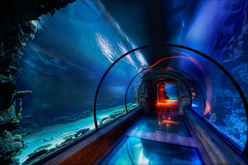 The Secret Underwater Passage