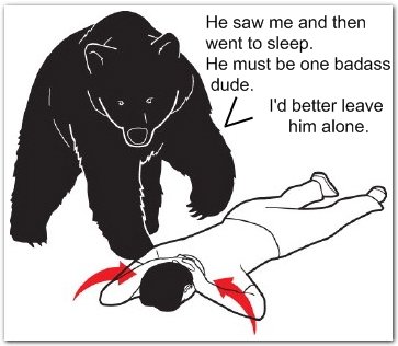 what bear thinks when humans play dead The Friday Shirk Report   July 9, 2010 | Volume 65