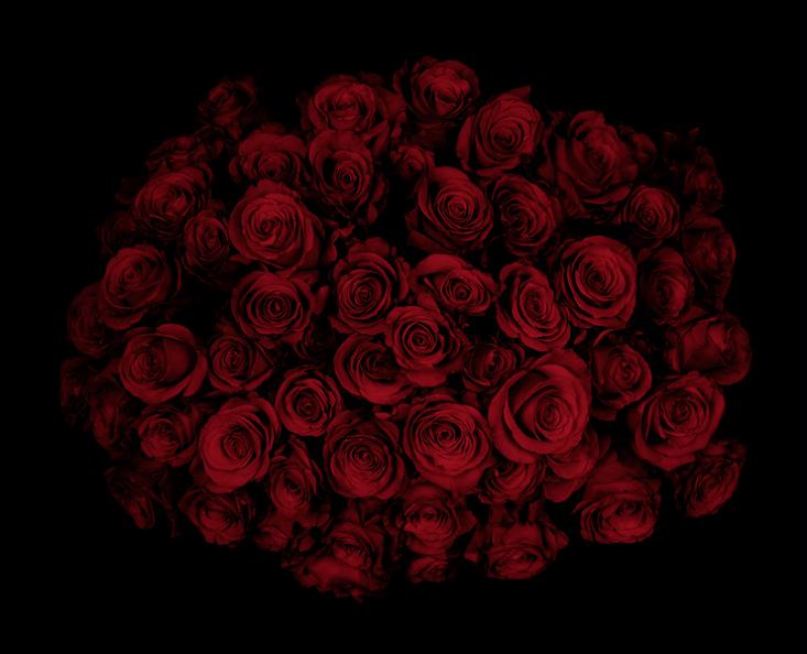bouquet of roses from above guido mocafico Guns and Roses by Guido Mocafico