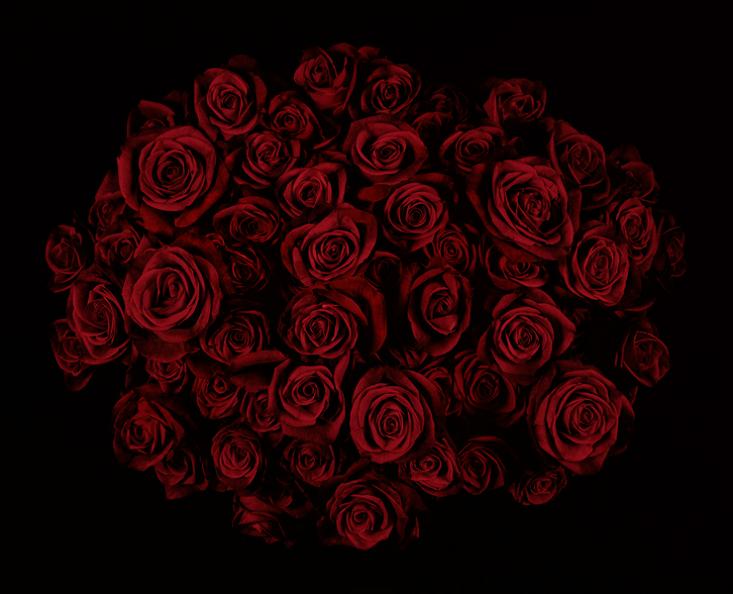 dark red roses bouquet Guns and Roses by Guido Mocafico