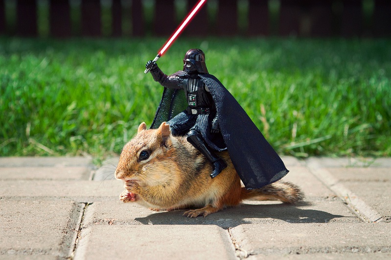darth vader riding a chipmunk Picture of the Day   August 5, 2010