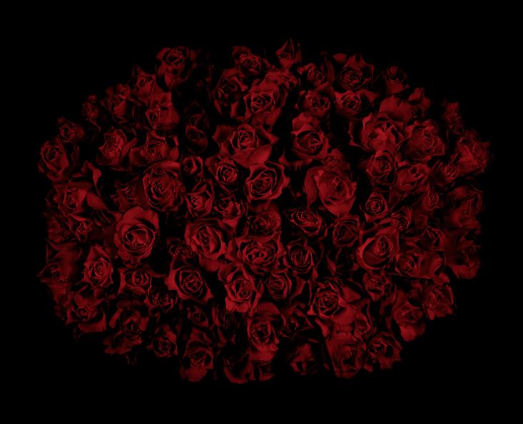 huge bouquet of roses guido mocafico Guns and Roses by Guido Mocafico