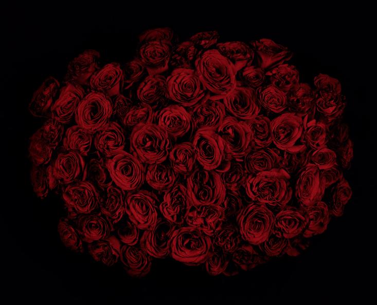 incredible bouquet of roses Guns and Roses by Guido Mocafico