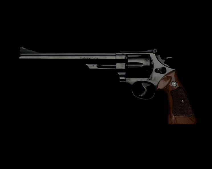 smith and wesson 44 magnum dirty harry handgun Guns and Roses by Guido Mocafico