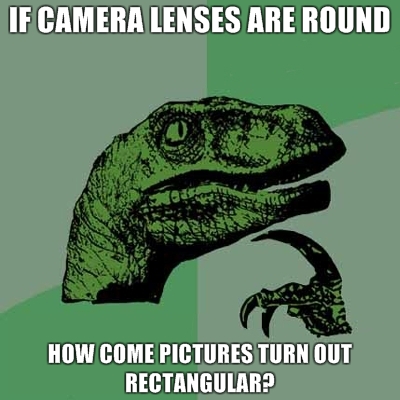 20 Burning Questions with the Famous Philosoraptor » TwistedSifter