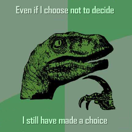 philosoraptor choose not to decide 20 Burning Questions with the Famous Philosoraptor