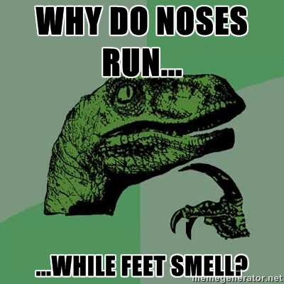 philosoraptor noses run feet smell 20 Burning Questions with the Famous Philosoraptor