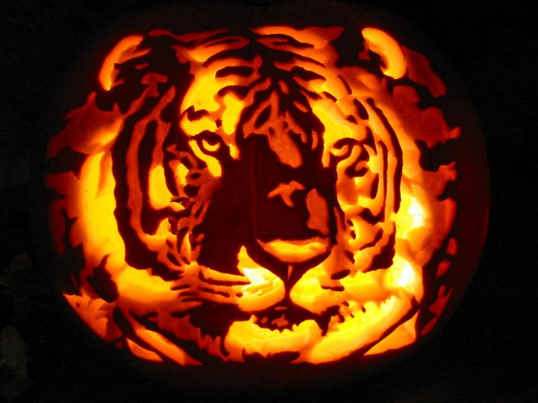 tiger pupmpkin carving 25 Mind Blowing Halloween Pumpkins