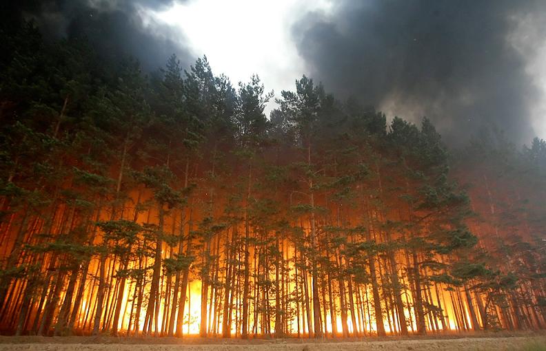 forest fire in russia 2010 Natures Fury: 30 Chilling Photos of Natural Hazards