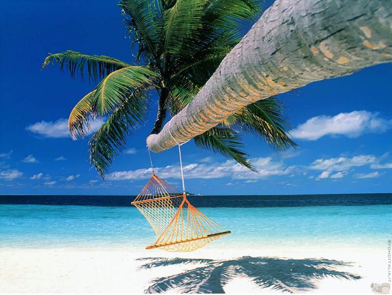 bora bora french polynesia 14 25 Perfect Places for a Hammock