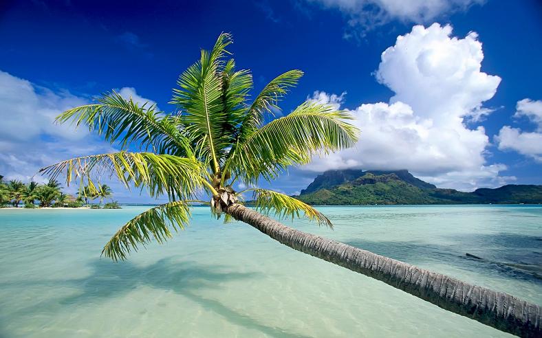 bora bora french polynesia 16 25 Stunning Photographs of Bora Bora