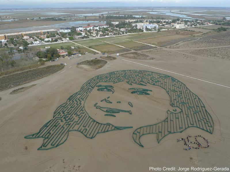 galc2b7la by jorge rodriguez gerada delta del ebro spain 350 Earth: Worlds First Art Exhibit Visible from Space