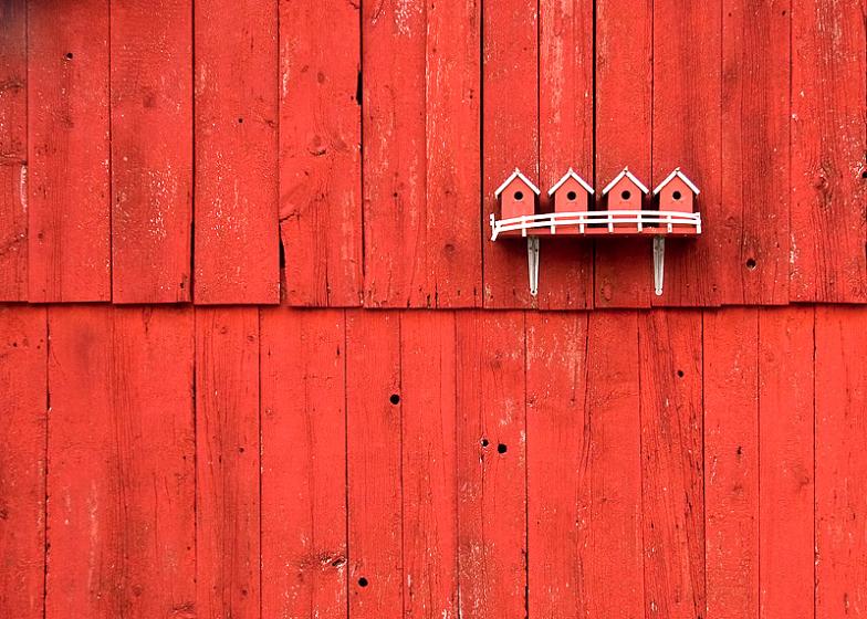 red birdhouses on red barn The Flickr Color Exploration Series: RED