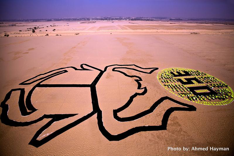 solar scarab by sarah rifaat cairo egypt 350 Earth: Worlds First Art Exhibit Visible from Space