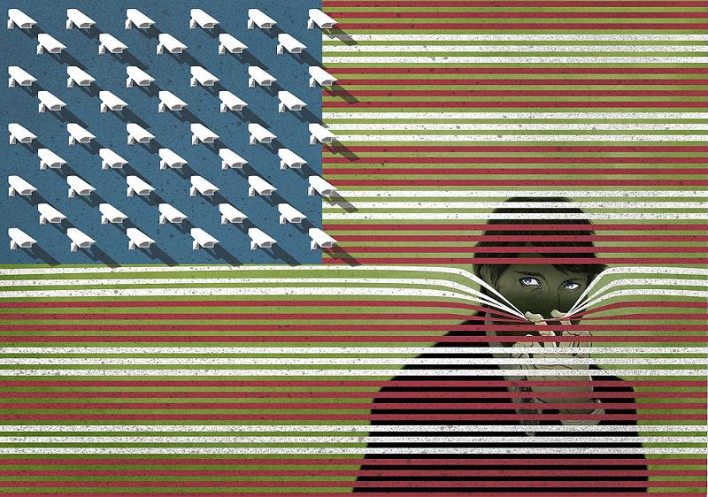 usa flag cameras blinds will varner Picture of the Day: Big Brother is Watching You
