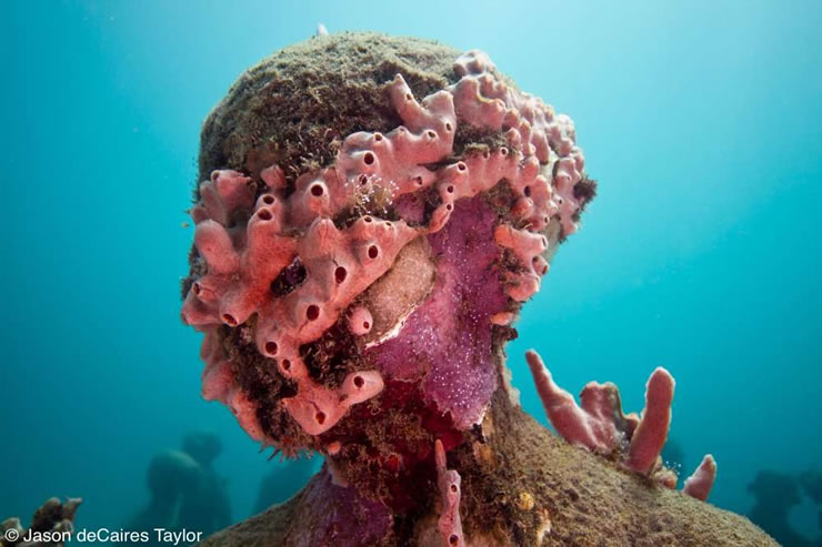 underwater sculptures artist jason decaires taylor artificial reefs 28 Astonishing Underwater Sculptures by Jason deCaires Taylor [30 pics]