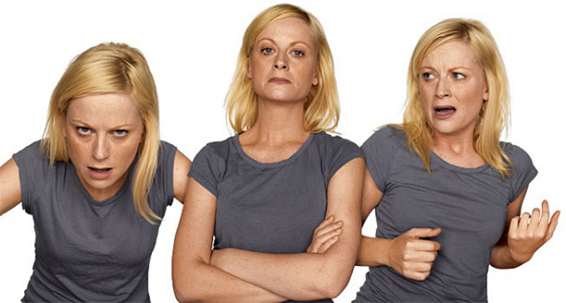 amy poehler acting in character  Funny Faces: Famous Actors Acting Out [20 Pics]