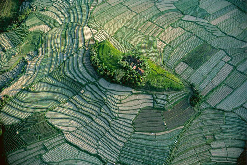 islet in the terraced rice fields of bali indonesia 25 Mind Blowing Aerial Photographs Around the World
