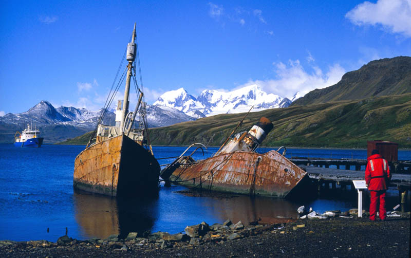 abandoned whaling boats at grytviken south georgia 25 Haunting Shipwrecks Around the World