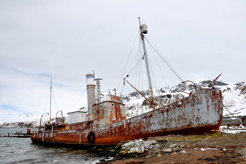 whaler shipwreck at grytviken south georgia 25 Haunting Shipwrecks Around the World