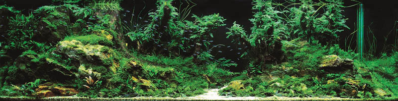 6 bronze award chen i sheng taiwan The Top 25 Ranked Freshwater Aquariums in the World