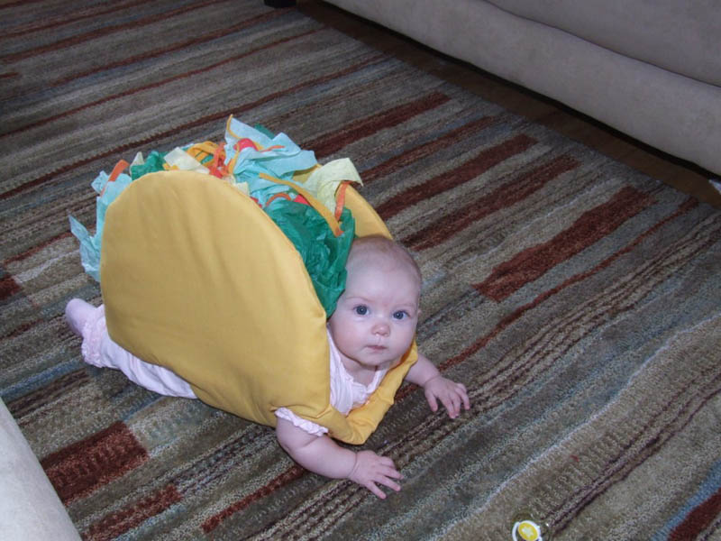 baby wearing a taco costume taco belle Picture of the Day: Taco Belle