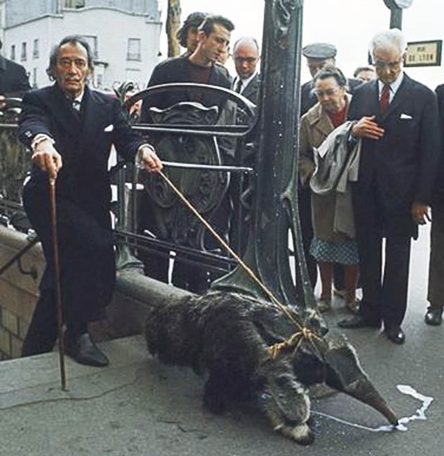 salvador dali walking an anteater This Day In History   May 11th
